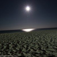 nightly beach on moonlight
