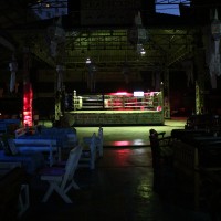 another muai thai ring