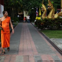 a monk