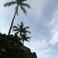 ao nang palms .2