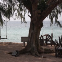 koh tao .4